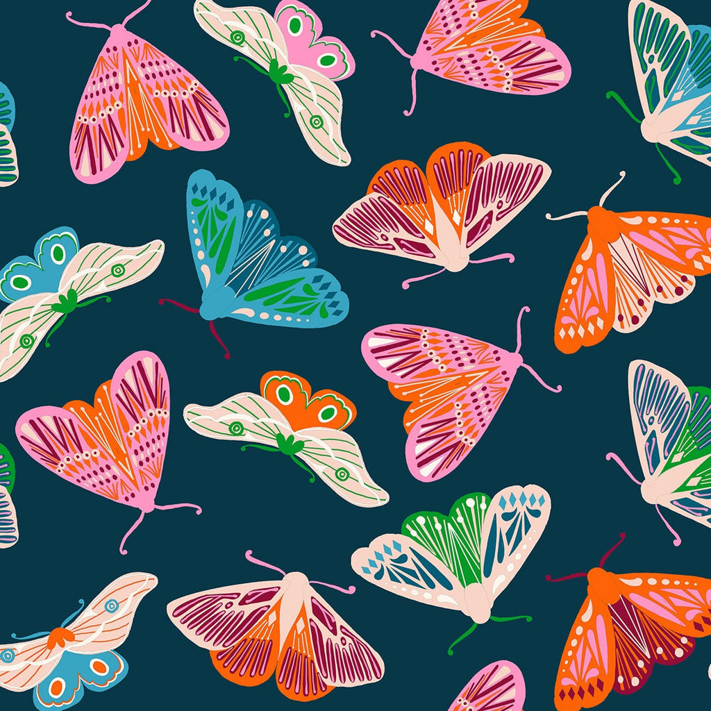 moth, butterflies